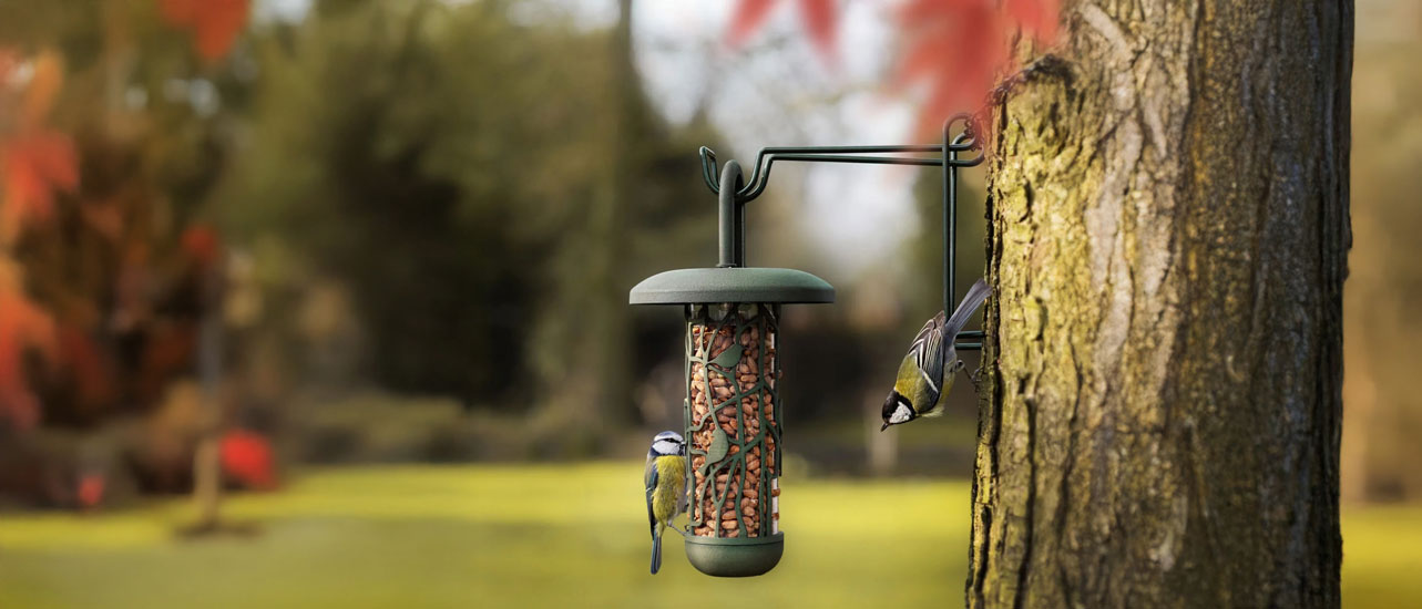 best-for-birds
