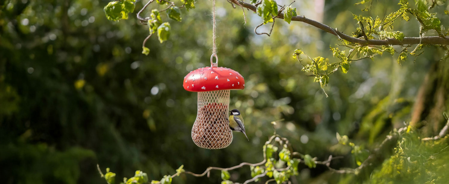 paddestoel-vogel-voder