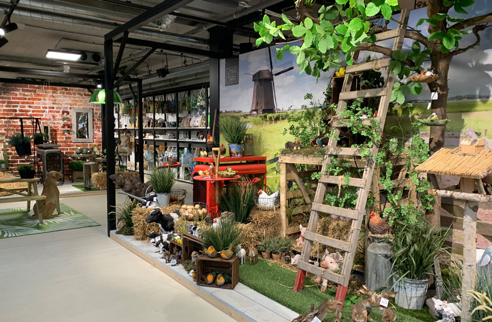 showroom-1