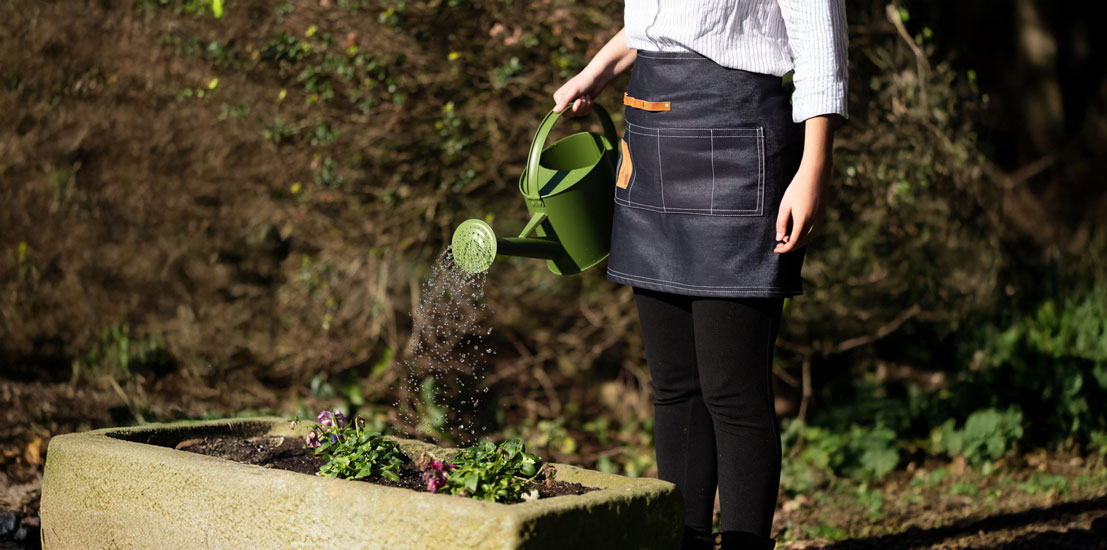 water-in-the-garden